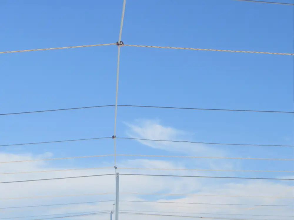 Gridwire suspended over an open rooftop area