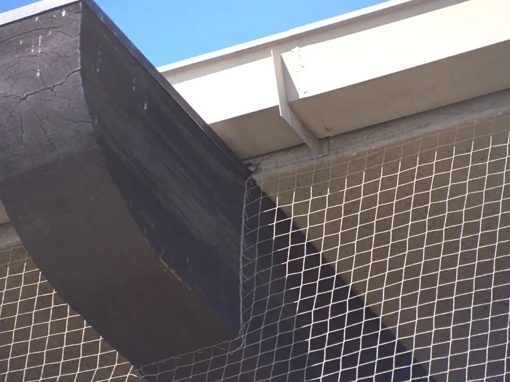 StealthNet netting excluding birds from a ledge