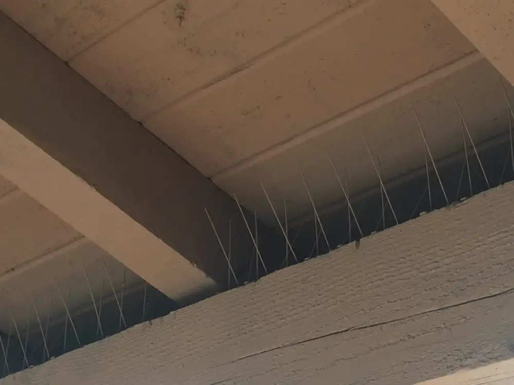 Bird-Flite® Bird Spikes bird control product