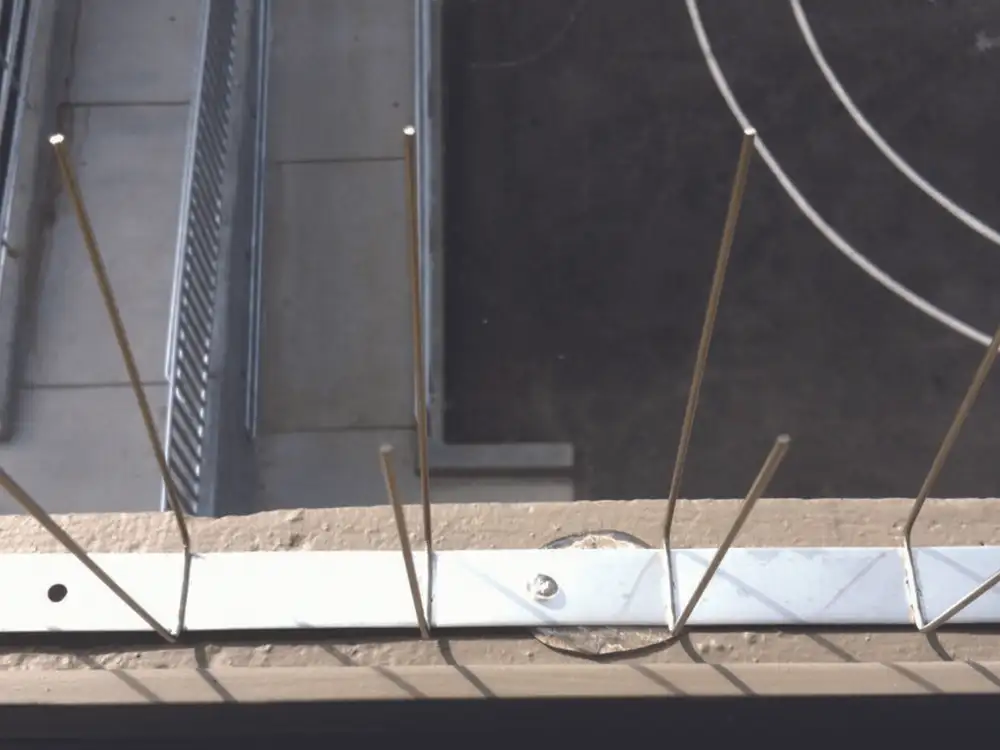 Dura-Spike® stainless steel spikes installed on a ledge
