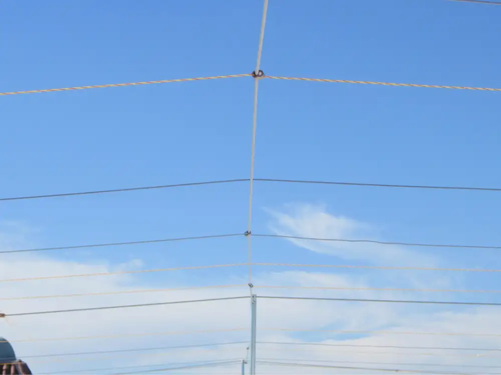 Gridwire suspended over an open rooftop area