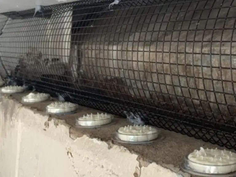 PVC Mesh bird control product