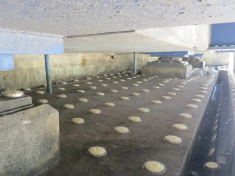 Optical Gel dishes on a building exterior ledge