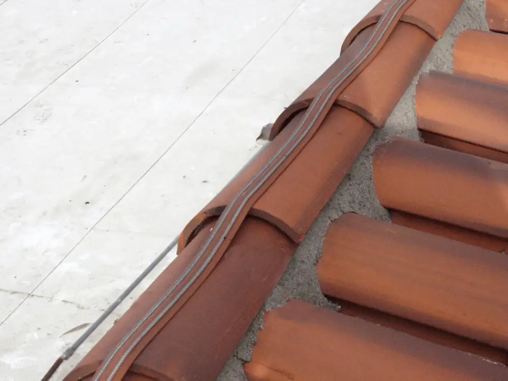 Bird-Shock low-profile electrified track along a roof edge