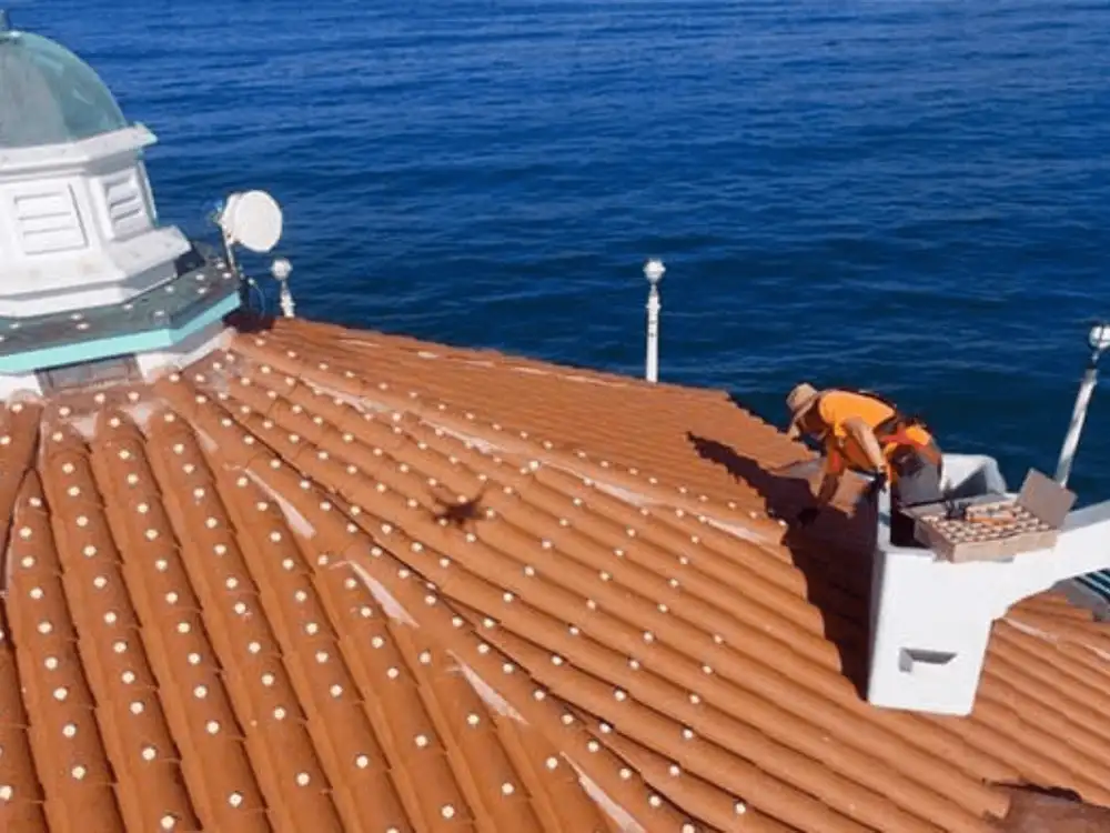 Optical Gel™ dishes deterring birds on a rooftop