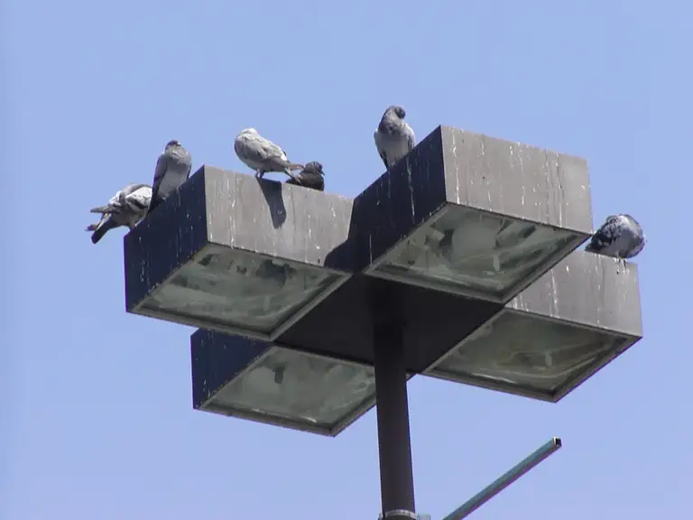 Exterior light stanchion above a parking area