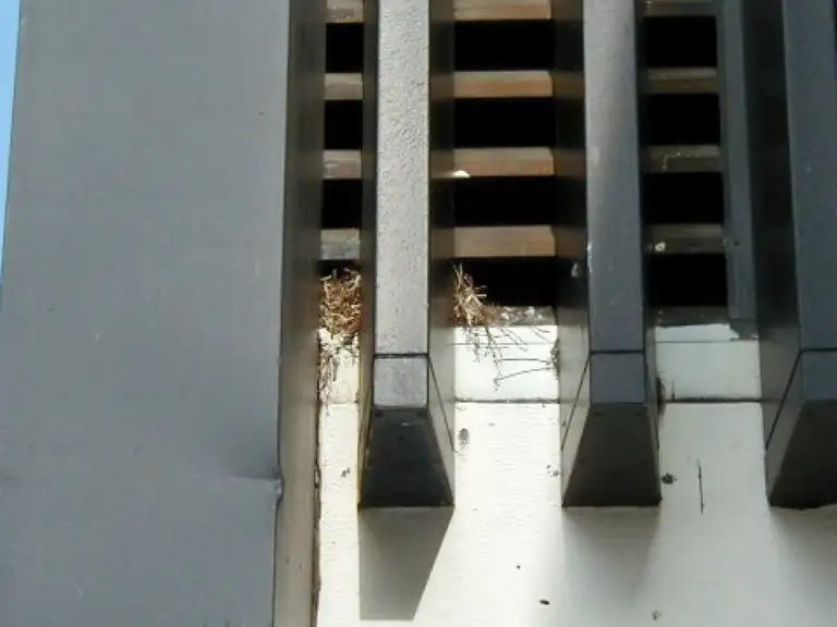 Ventilation access points on a medical building