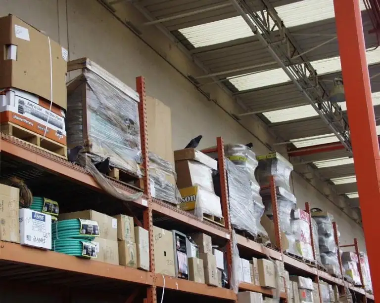 Pest bird nesting among indoor warehouse merchandise racks