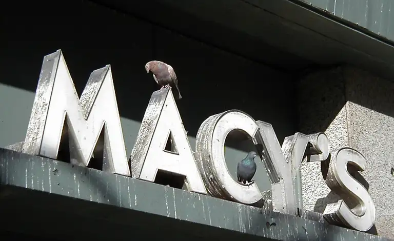 Pigeons perched along the top of a commercial sign